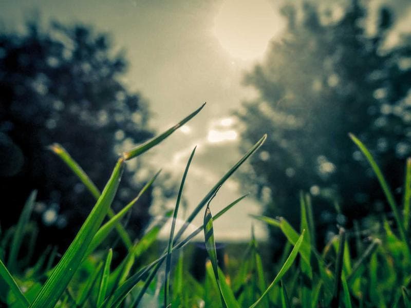 Leather Bound Journal